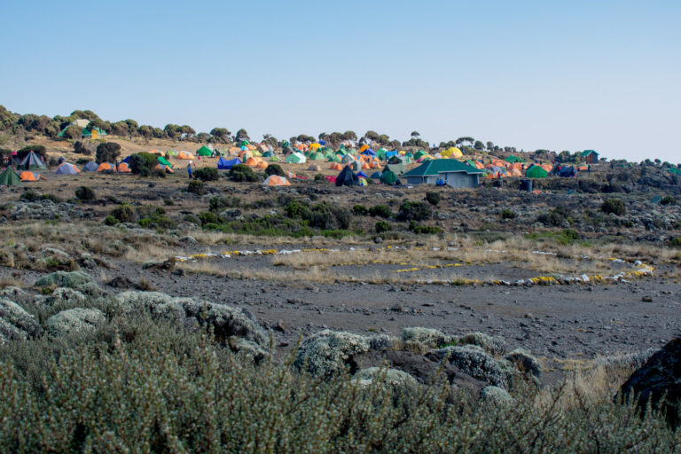 Special Events Mt. Kilimanjaro tent camp.